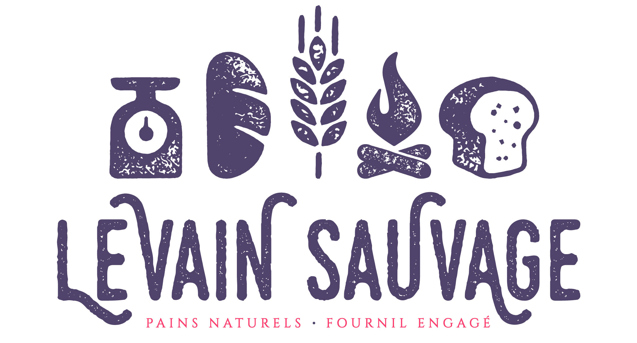 Levain sauvage